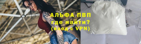 стафф Алзамай