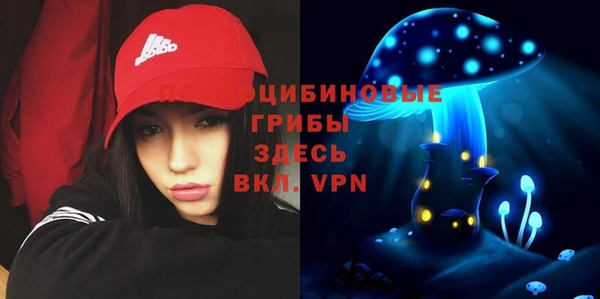 стафф Алзамай
