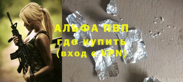 стафф Алзамай