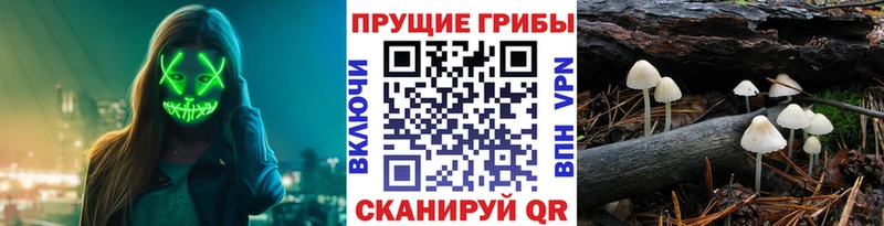 Галлюциногенные грибы прущие грибы  Среднеколымск 